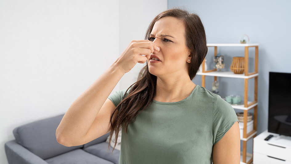 Six Common Air Conditioner Smells Answered and How to Solve the Problem